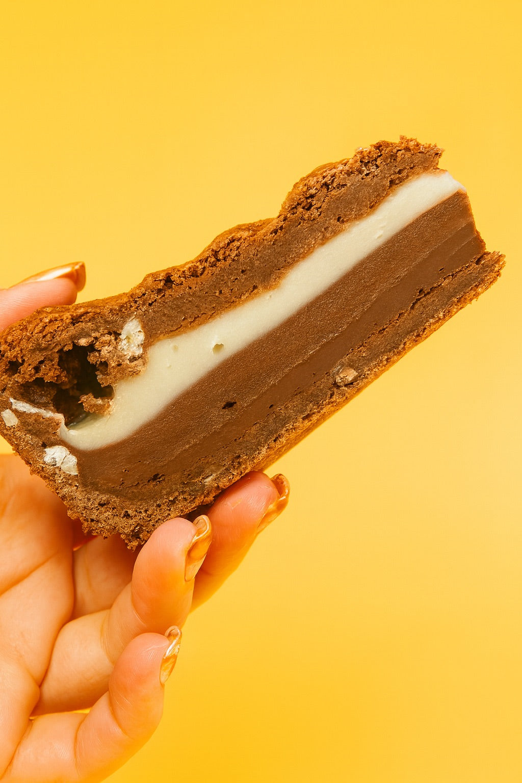 LIMITED EDITION Birthday Cookie Pies